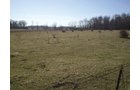 Property photo 32 - 159 Acres Offered in 7 Tracts